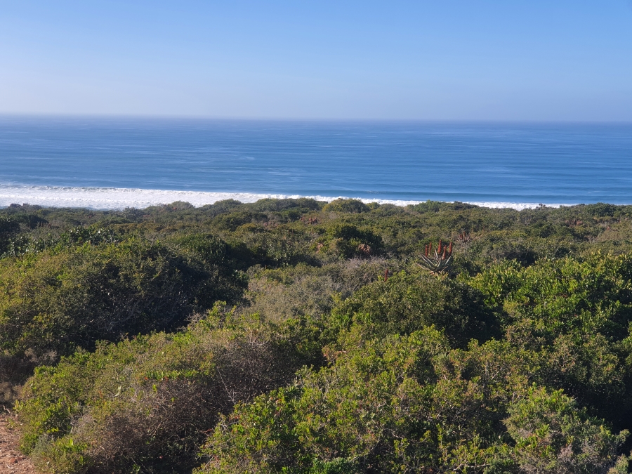 0 Bedroom Property for Sale in Boggomsbaai Western Cape